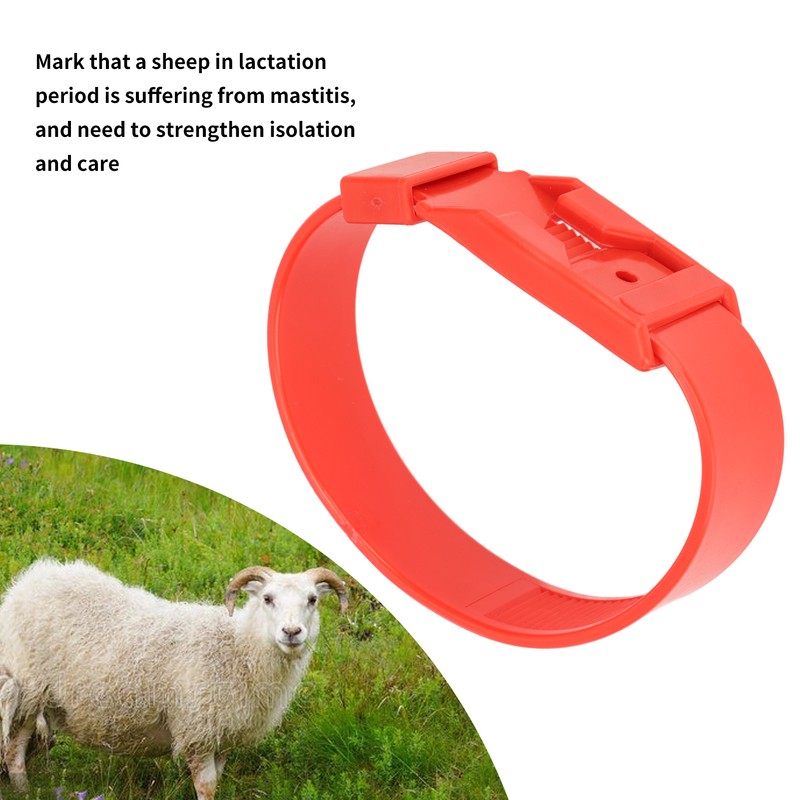 10Pcs Goat Collar Sheep Identification Bands Livestock Marking Ring Farming