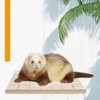 EMSea 2 x Wooden Pet Guinea Pig Rabbit Rat Scratching