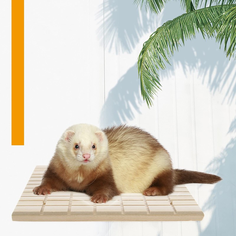 EMSea 2 x Wooden Pet Guinea Pig Rabbit Rat Scratching