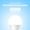 Full Spectrum Light Bulb, 6000K Natural Light Bulb, LED Light
