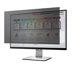 PrivacyView™ Privacy Filter for 19.5" Widescreen Monitor- Black