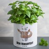 Mr. & Mrs. Panda Personalisierter XL Blumentopf Skorpion Astrologie -