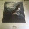 Limited Edition Print Out of The Storm-Eagle-Terry Isaac