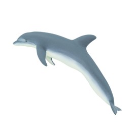 Safari Ltd. Bottlenose Dolphin Figurine - Lifelike 7.5" Plastic Model Figure - Fun Educational Play Toy for Boys, Girls & Kids Ages 1+