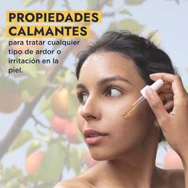 Hebbe Aceite de Chabacano 100% Puro 500 ml | Prensado en Frío | Hidratante Facial y Corporal | Antioxidante | para Piel y Cabello