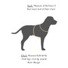 No Pull Adjustable Dog Harness - Water Resistant & Easy