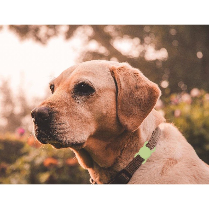 SWINCHO case holder cover for gps case Night Green+Avocado)