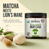 LRLA SUPERFOODS Polvo De Matcha De Hongo Melena De León