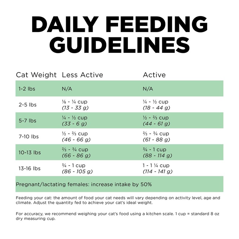 Go! Solutions Sensitivities Limited Ingredient Insect Grain-Free Dry Cat Food,