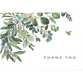 Eucalyptus Thank You Note Cards (14 cards, 15 self-sealing envelopes)
