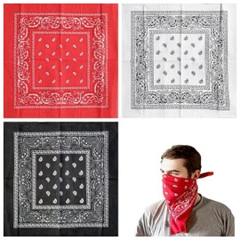 SSKHE Pack of 3 Bandana, Head Scarf for Men and Women, Bandanas with Original Paisley Pattern, Multifunctional Handkerchiefs as Headwear, Hair Scarf Approach, Wrist Head Biker, 55 x 55 cm,