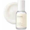 Soybean Milk Serum – Sérum Nutritivo para Elasticidad de la