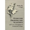 Guide for Drawing the Acanthus, and Every Description of Ornamental