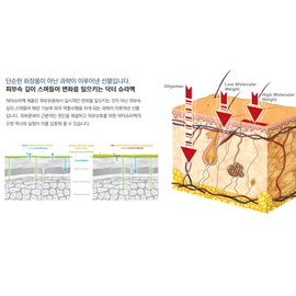 Dr. Schrammek Optimum Protection Cream 75ml / 닥터슈라멕 옵티멈 프로텍션 크림 75ml