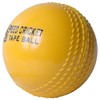 ADS Sports Wind Cricket Ball for Training & Coaching &
