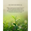 Tega Organic Sencha Green Tea With Japanese Matcha | Green