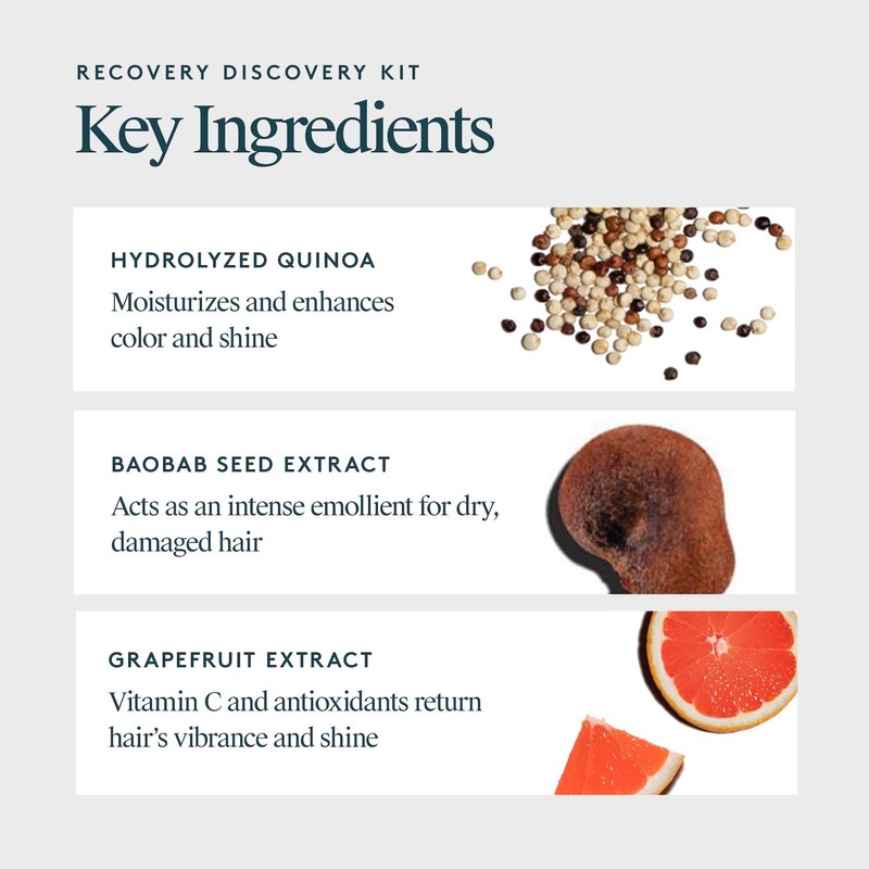 Virtue Recovery Discovery Kit