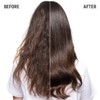 Goldwell Dualsenses Just Smooth Taming Anti-Frizz & Humidity Control Conditioner