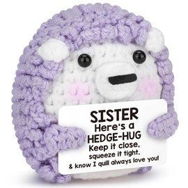Funny Hedgehog Sister Adult Easter Basket Stuffers Essentials for Teens Easter Egg Fillers,Mothers Day Big Little Sis Gifts, Mini Crochet Animals Desk Decor,Sister Birthday Graduation Gift from Sister