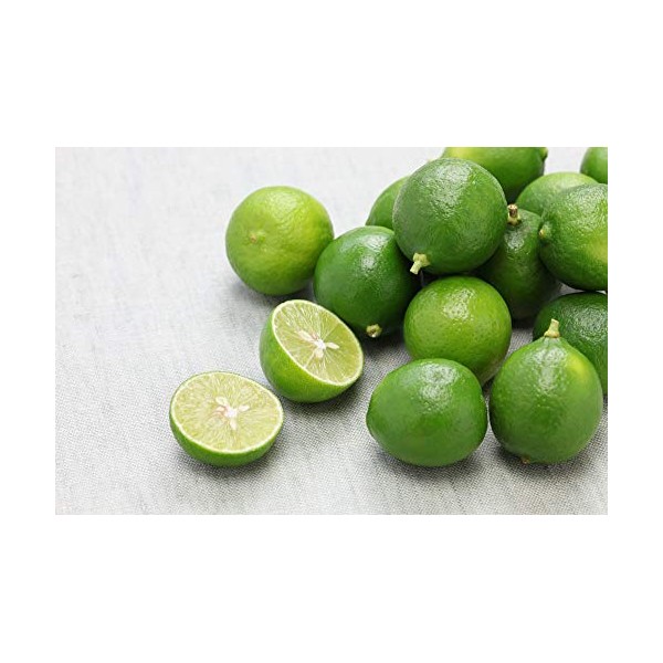 Tropical Importers Fresh Key Limes (3lb) (Organic Premium Key Limes 5 Pounds)