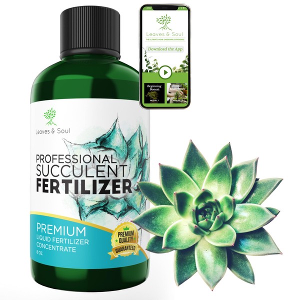 Professional Liquid Succulent Plant Fertilizer | 3-1-2 Concentrate for Plants