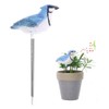 HEEPDD Soil Moisture Sensor Meter with Bird Design, Plant Watering