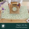 The Master Herbalist Neroli & Bergamotte William Morris Scented Drawer