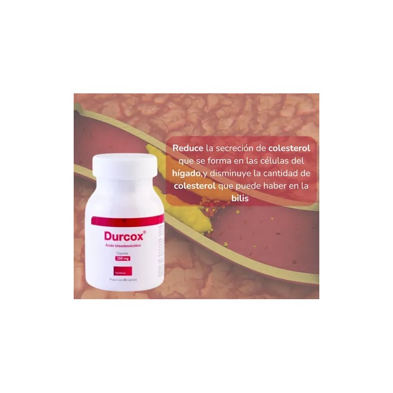 Durcox Acido Ursodeoxicolico 250 Mg Frasco Con 50 Capsulas