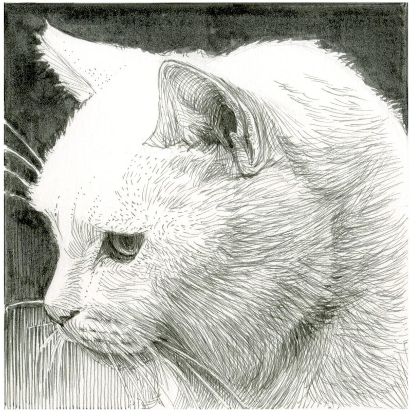 PIGMA MICRON Sakura 04 Black 2 Pack and 1 Card