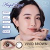 Angel Eyes 2week UVM [Color] Airy Gray [PWR] -3.25 6