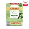 Burt's Bees 버츠비 레스큐오인트먼트 시카 스틱32241286 Burt's Bees Rescue Ointment Shea Stick 32241286