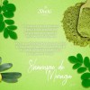Shampoo Moringa Protector Hidrata Y Repara, Sheló Nabel