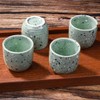 Large Sake 5-Piece Set, Durable Japanese Sake Ceramic Set Featuring