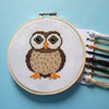 Owl Cross Stitch Kit With Hoop - Beginners Counted Cross