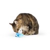 Huxley & Kent Chirpy Cat Toy - Bluebird - Interactive
