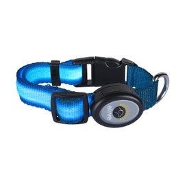 Elive Led Adjustable Dog Collar Small-Light Blue
