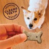 Old Mother Hubbard Old Mother Hubbard Wellness Original Mix Dog
