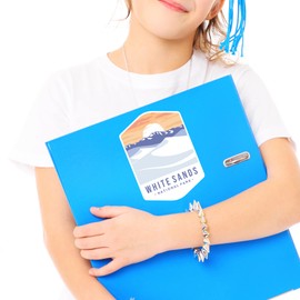 White Sands National Park Sticker Decal Notebook Car Laptop 4"x5.5" (Color)