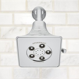 Speakman S-3018-E2 Rainier Anystream Adjustable 2.0 GPM Shower Head, Polished Chrome