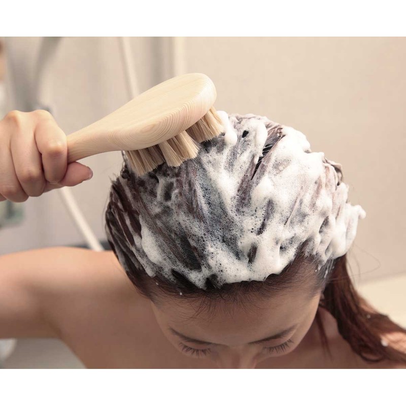 Hakuba hair scalp brush Sakura