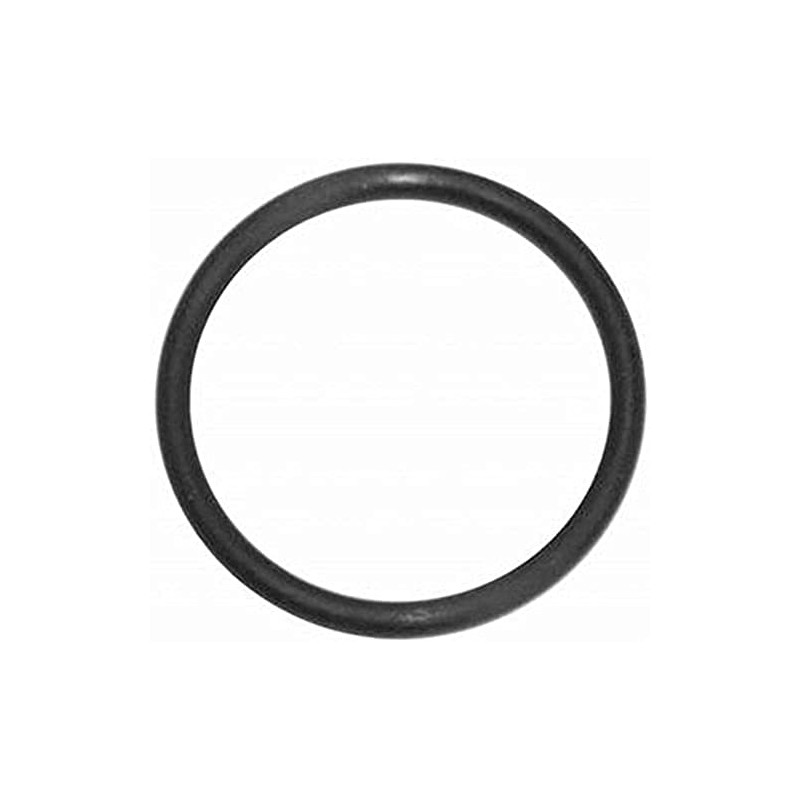 Racing Power R6004 Replacement O-Ring For Aluminum Water Neck (Pkg