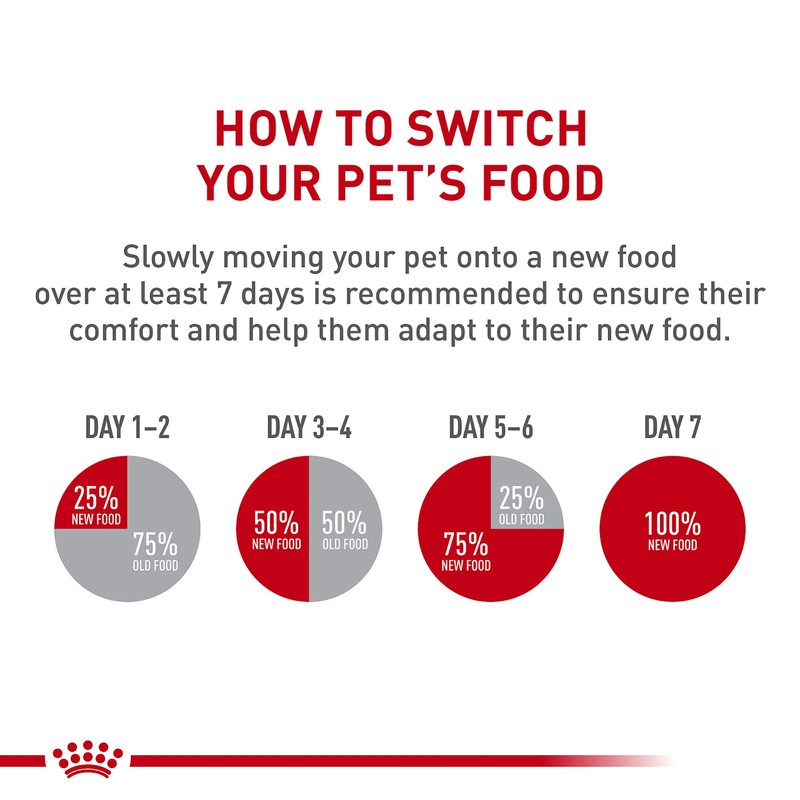 Royal Canin Breed Health Nutrition Pomeranian Adult Dry Dog Food,