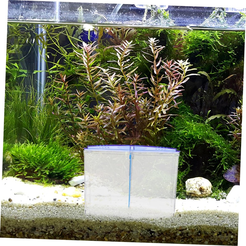GRIRIW Aquarium Isolation Box Fish Tank Separator Breeding Box for