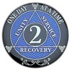 2 Year AA Coin Silver Color Plated-Medallion, Recovery Chip, 12