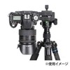 Quick Plate Arca Swiss Compatible 50mm Quick Shoe Tripod Head