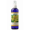 Kenso Herb Water St. John's Wort Water 6.8 fl oz (200 ml)