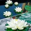 WhistenFla 16Pcs Artificial Floating Pool Flowers, 6Pcs 7in & 10Pcs