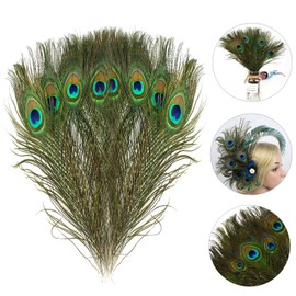 Mwoot 15 stücke Schöne Natürliche Pfauenfedern, Pfau Schwanzfedern Augen Federn Dekorationen für Handwerk Party 28-32 cm