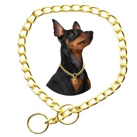 Chain Choke Collar For Dogs, Golden XS Metal Slip Link Training Heavy Duty Dog Choker Collar Martingale Puppy Collars For XXS XS Small Medium Large Big XL Breed Dogs