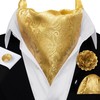YOHOWA Mens Ascot Tie Cravat Set Paisley Gold Scarf Neckties